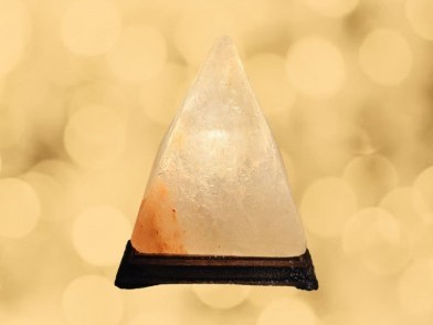 LS202