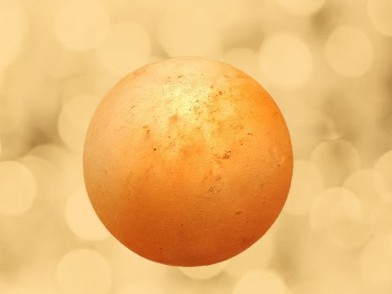 LS203